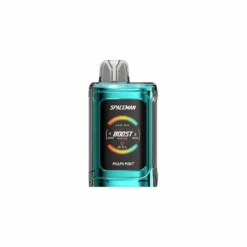 SPACEMAN Prism 20K Miami Mint Rechargeable Disposable Vape