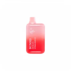 Strawberry Ice BC5000 Disposable Vape - 5000 Puffs