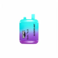 Blueberry Mint Snoopy Smoke 15000 Puffs Dual Tank Disposable