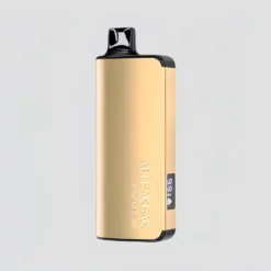 Alibarbar Ingot Non-Rechargeable 9000 Puffs Disposable 22ml
