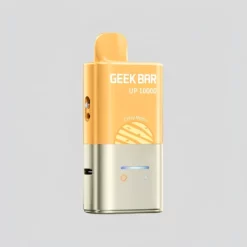 GEEK BAR UP 10000 Prefilled Pod Kit – 10K Puffs Vape